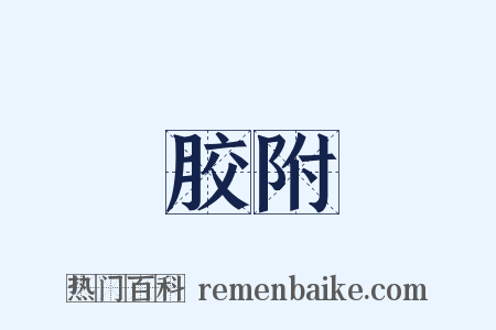 胶附是什么意思的图片